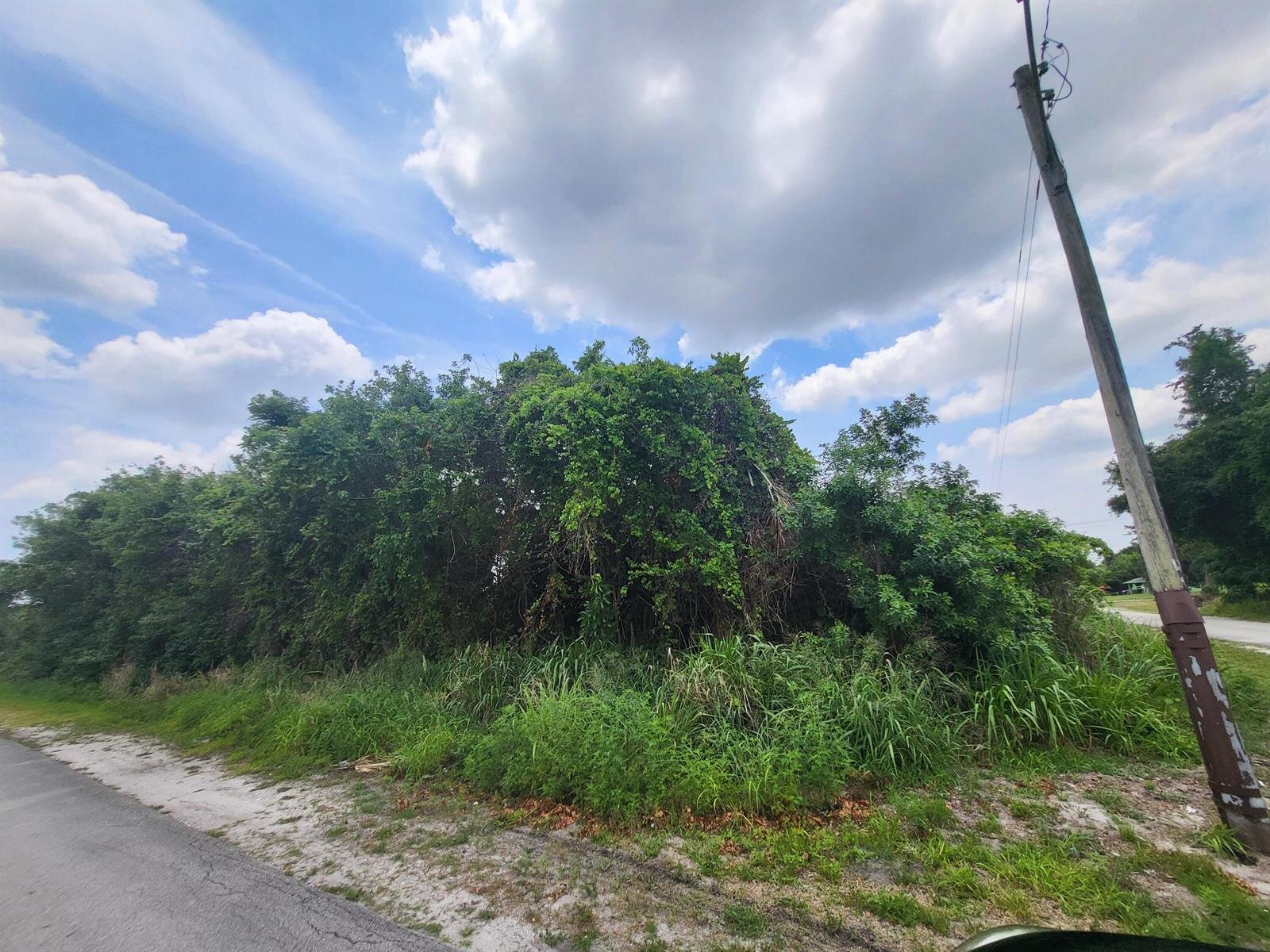 Image - 1