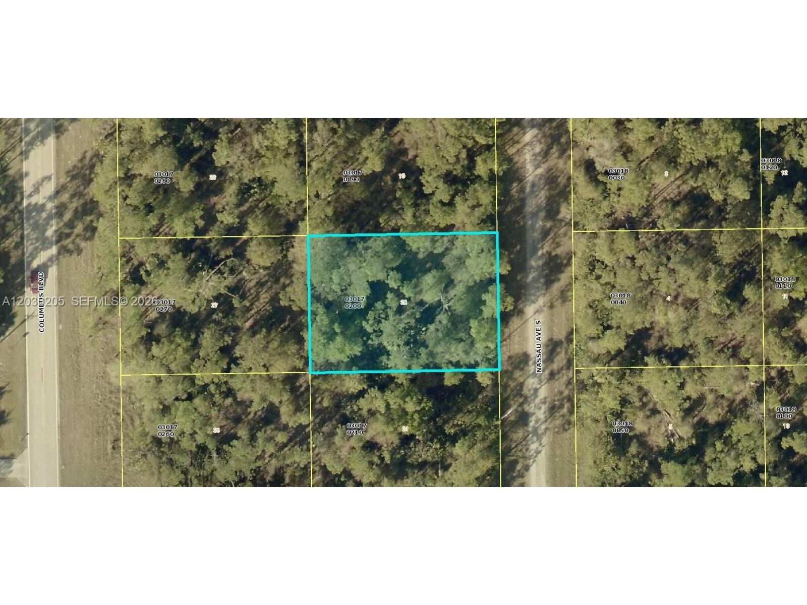 Image - 1