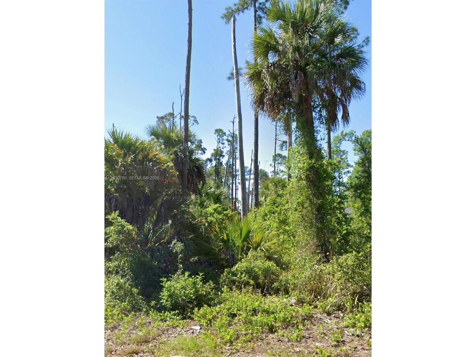 Image - 1