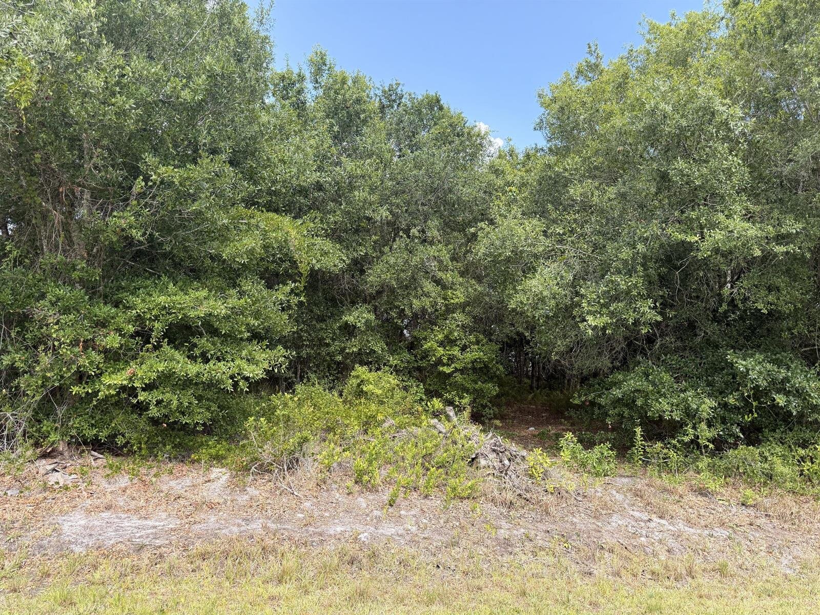 Image - 1