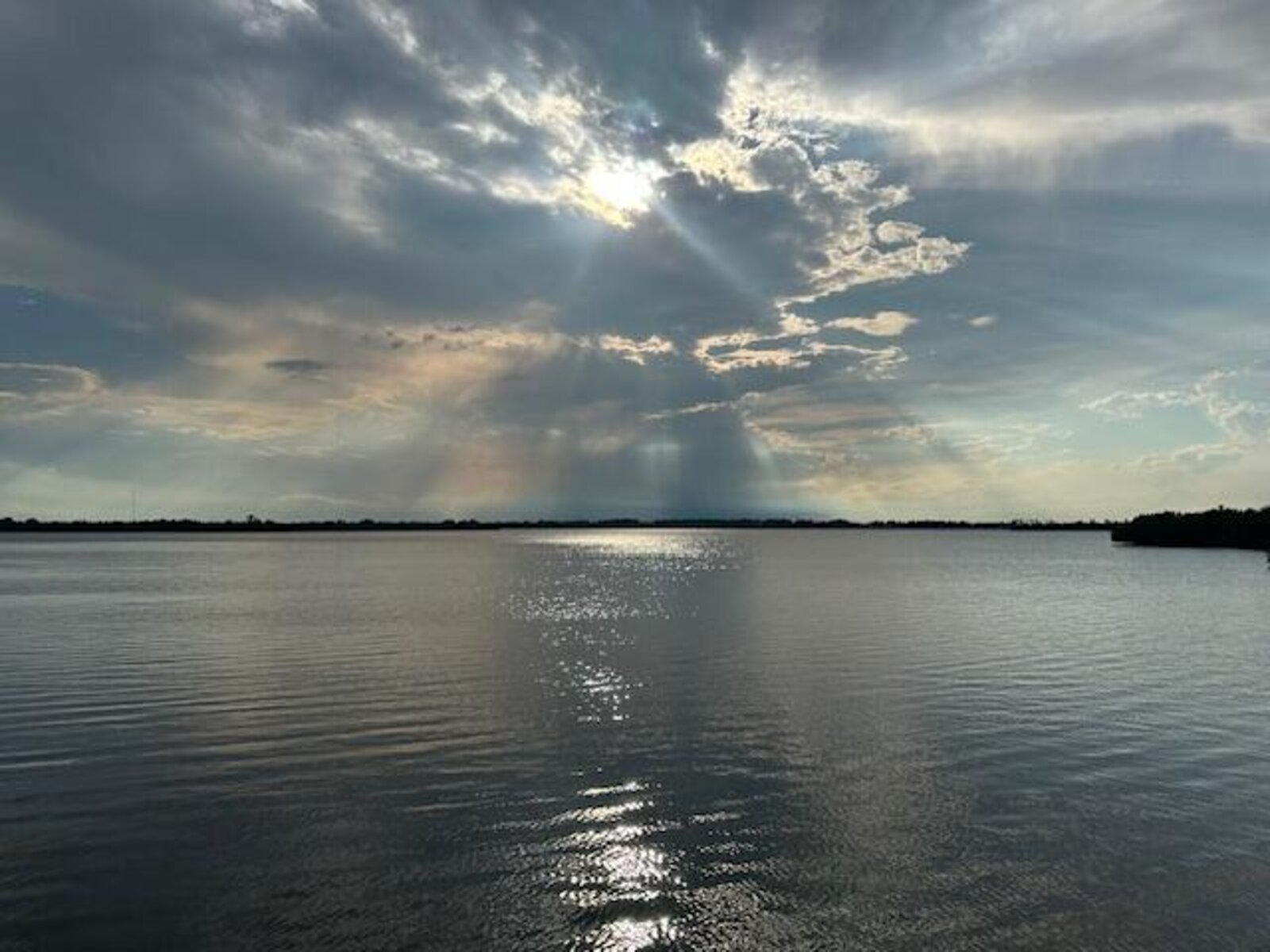 Image - 1