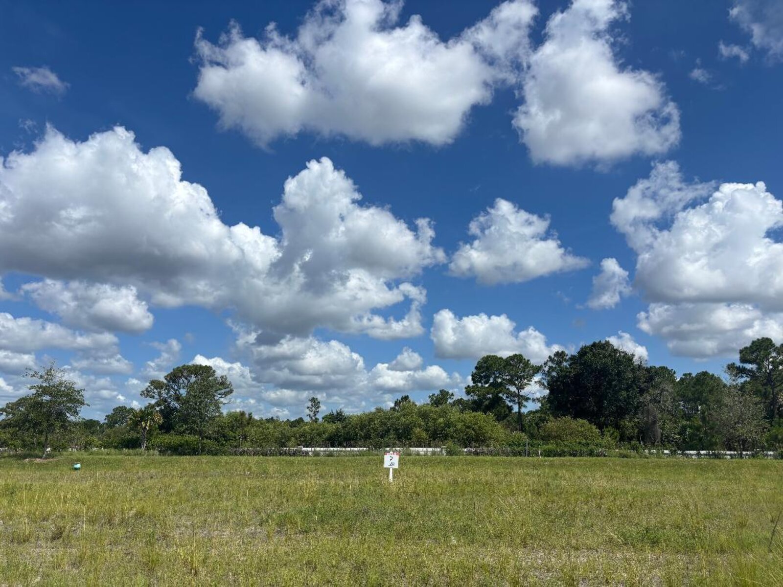 Image - 1