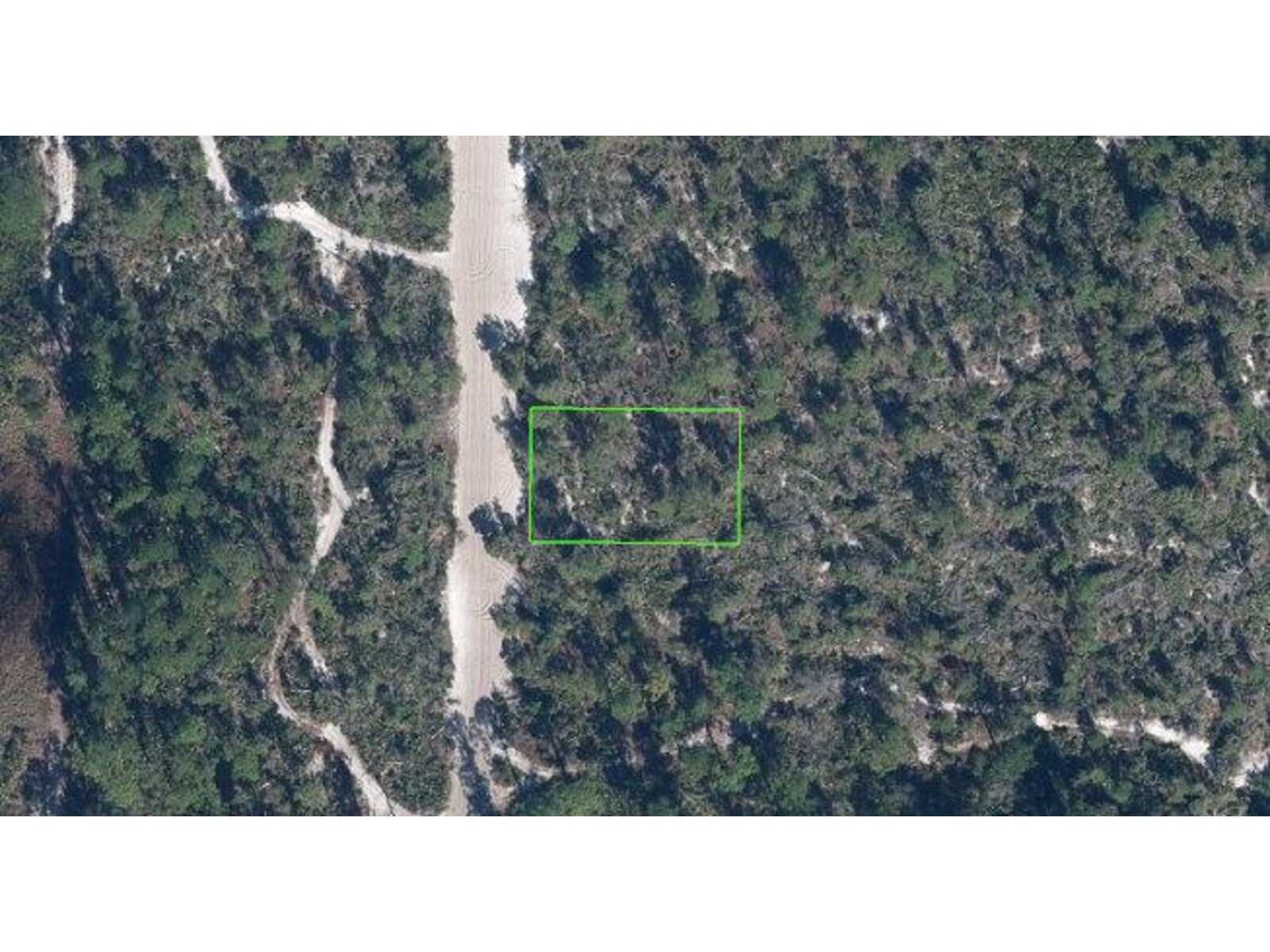 Image - 1