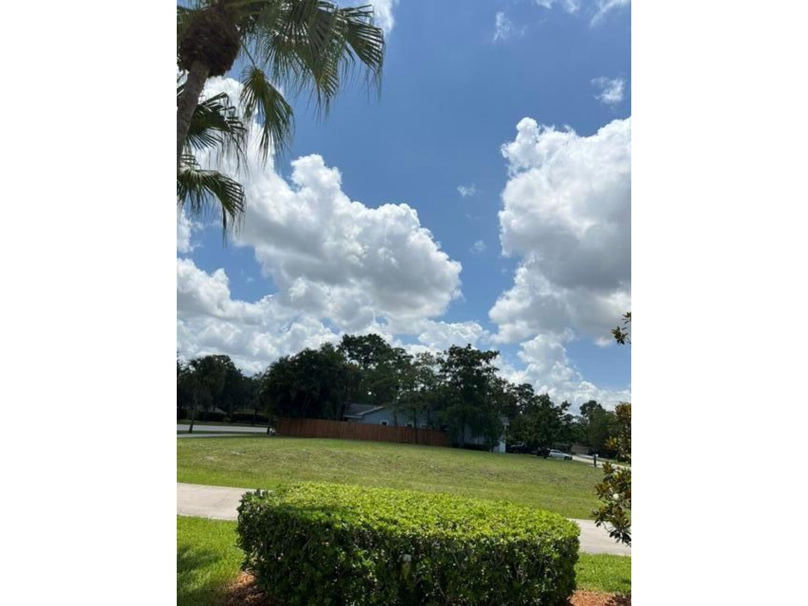 Image - 1