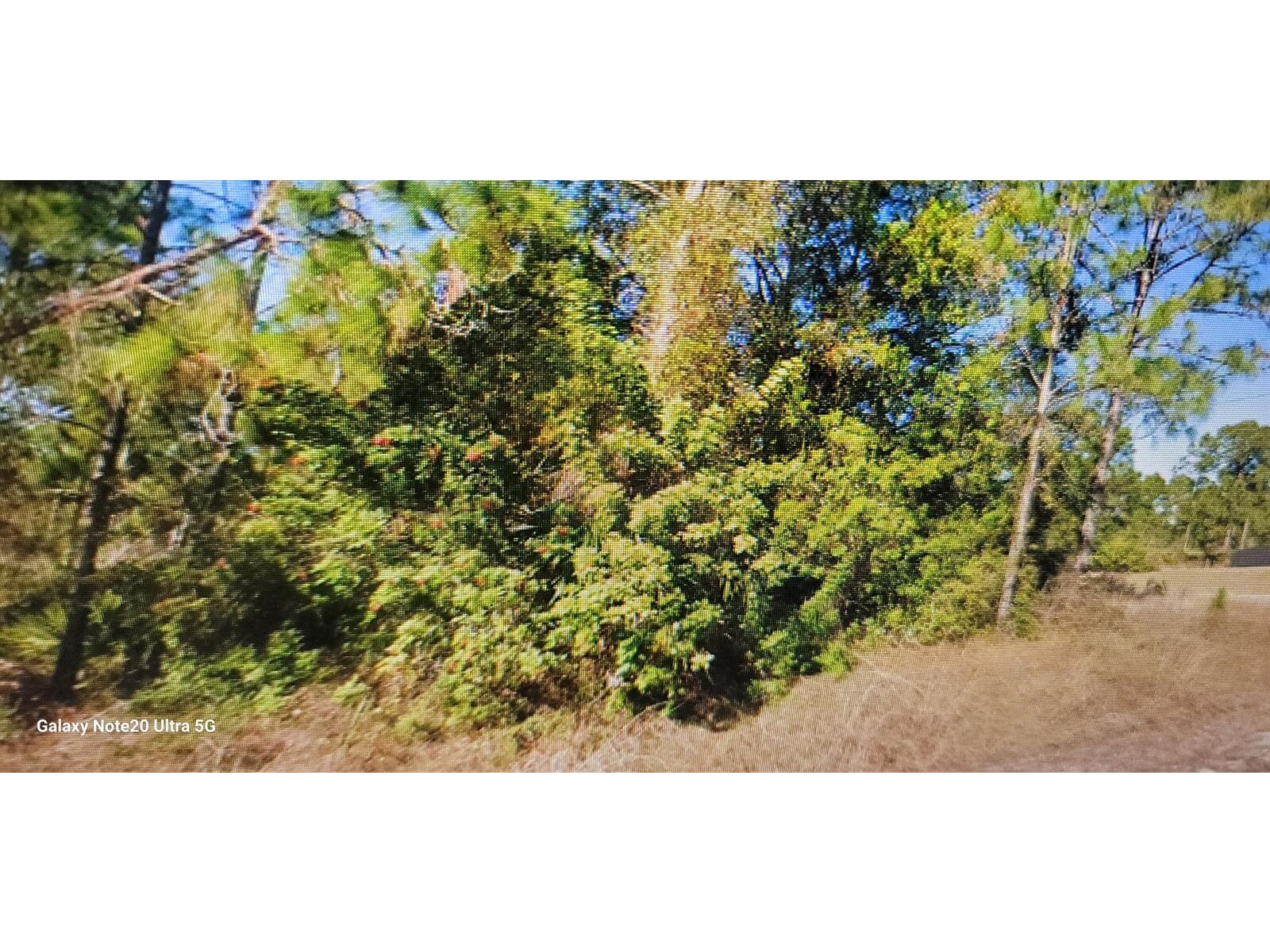 Image - 1