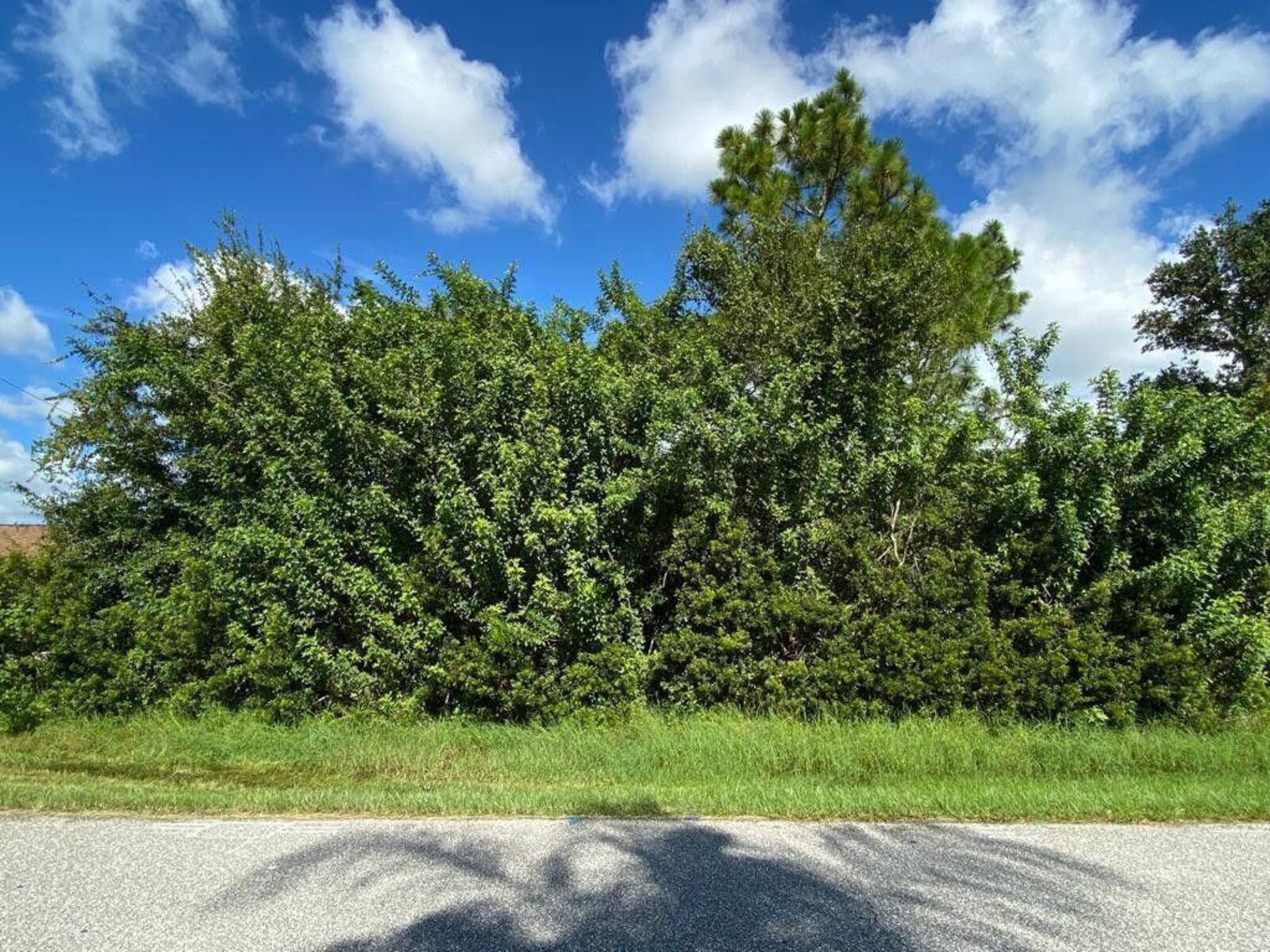 Image - 1