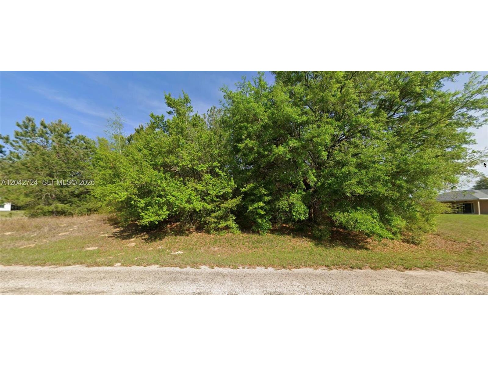 Image - 1
