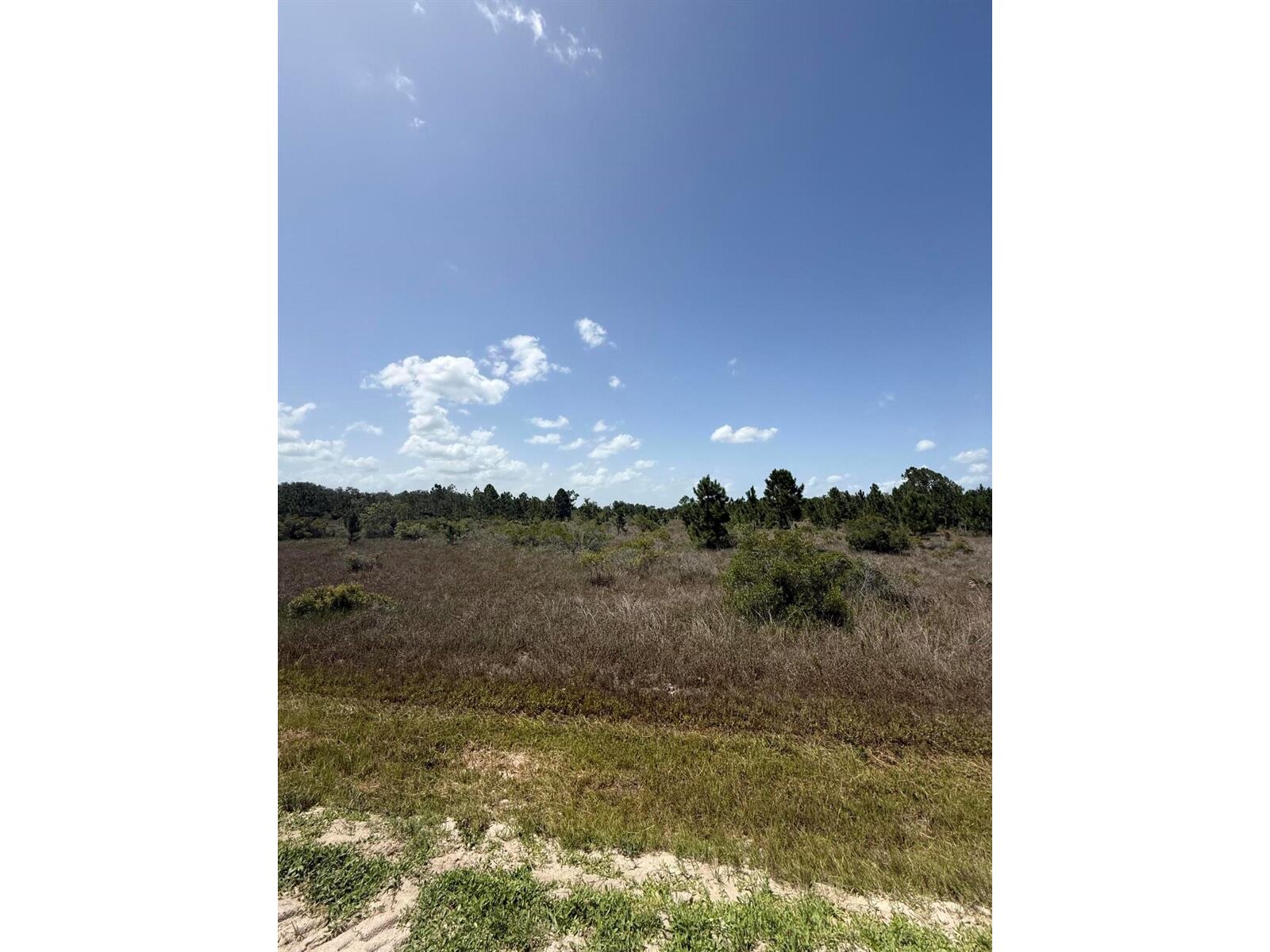 Image - 1