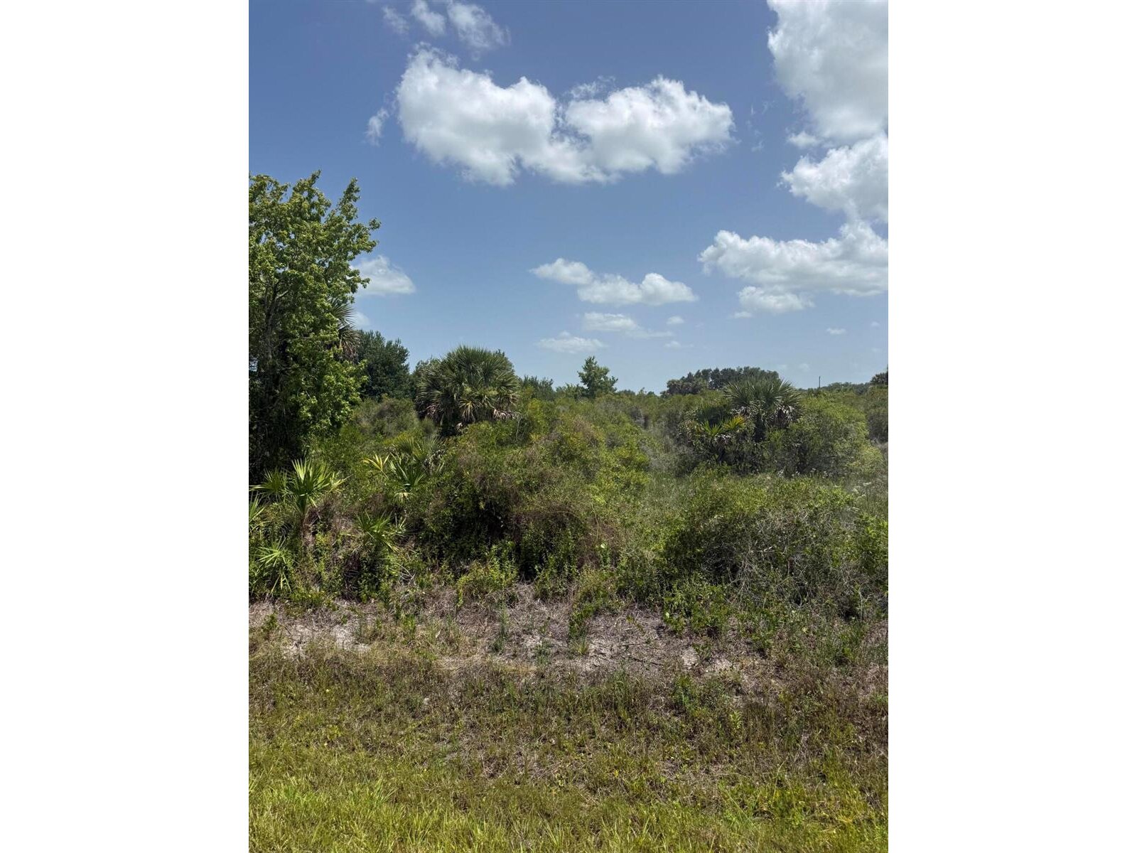 Image - 1