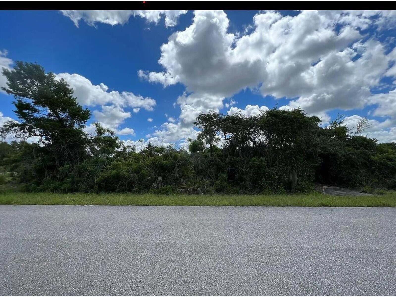 Image - 1