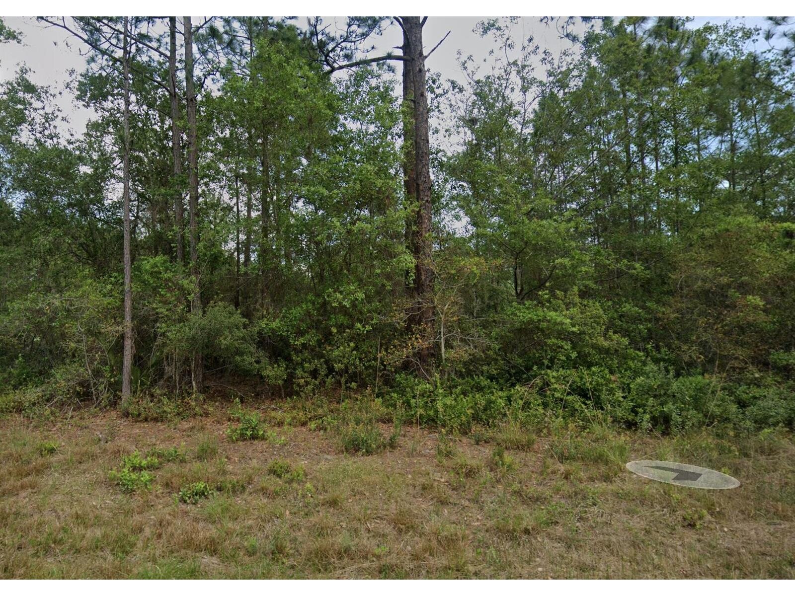 Image - 1
