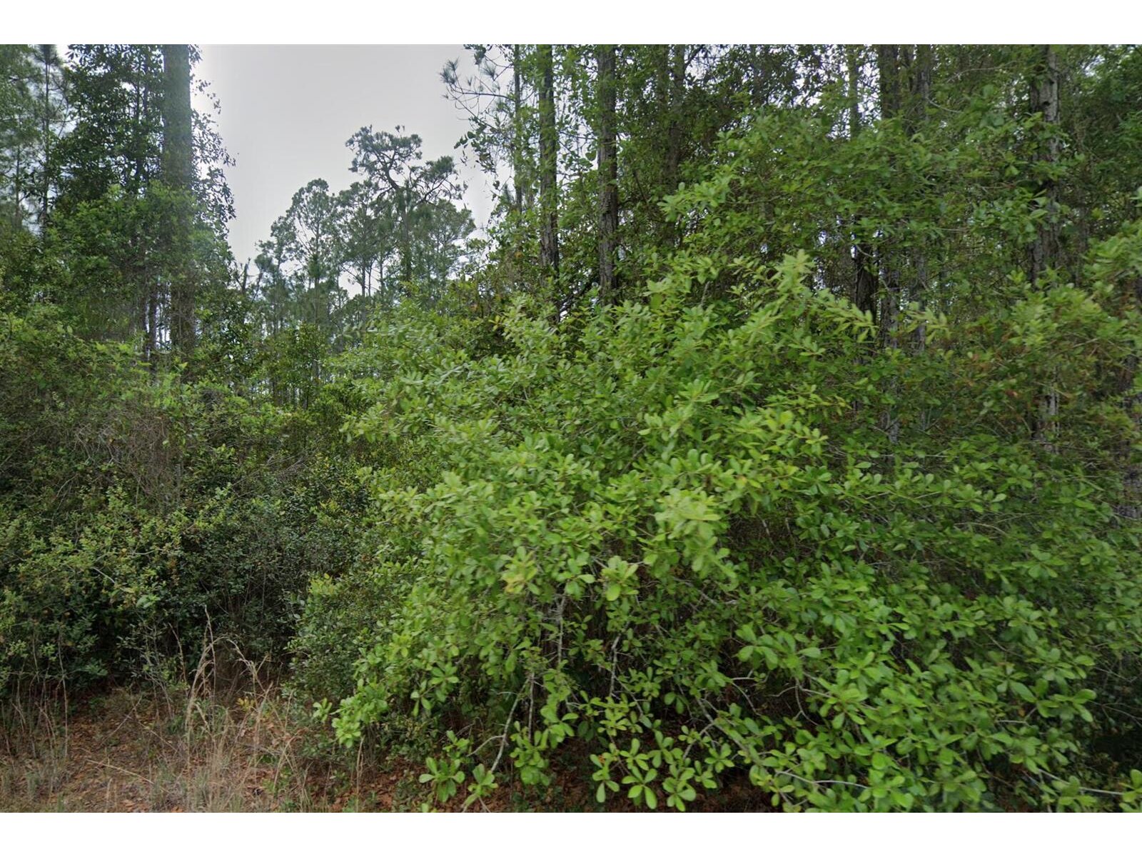 Image - 1