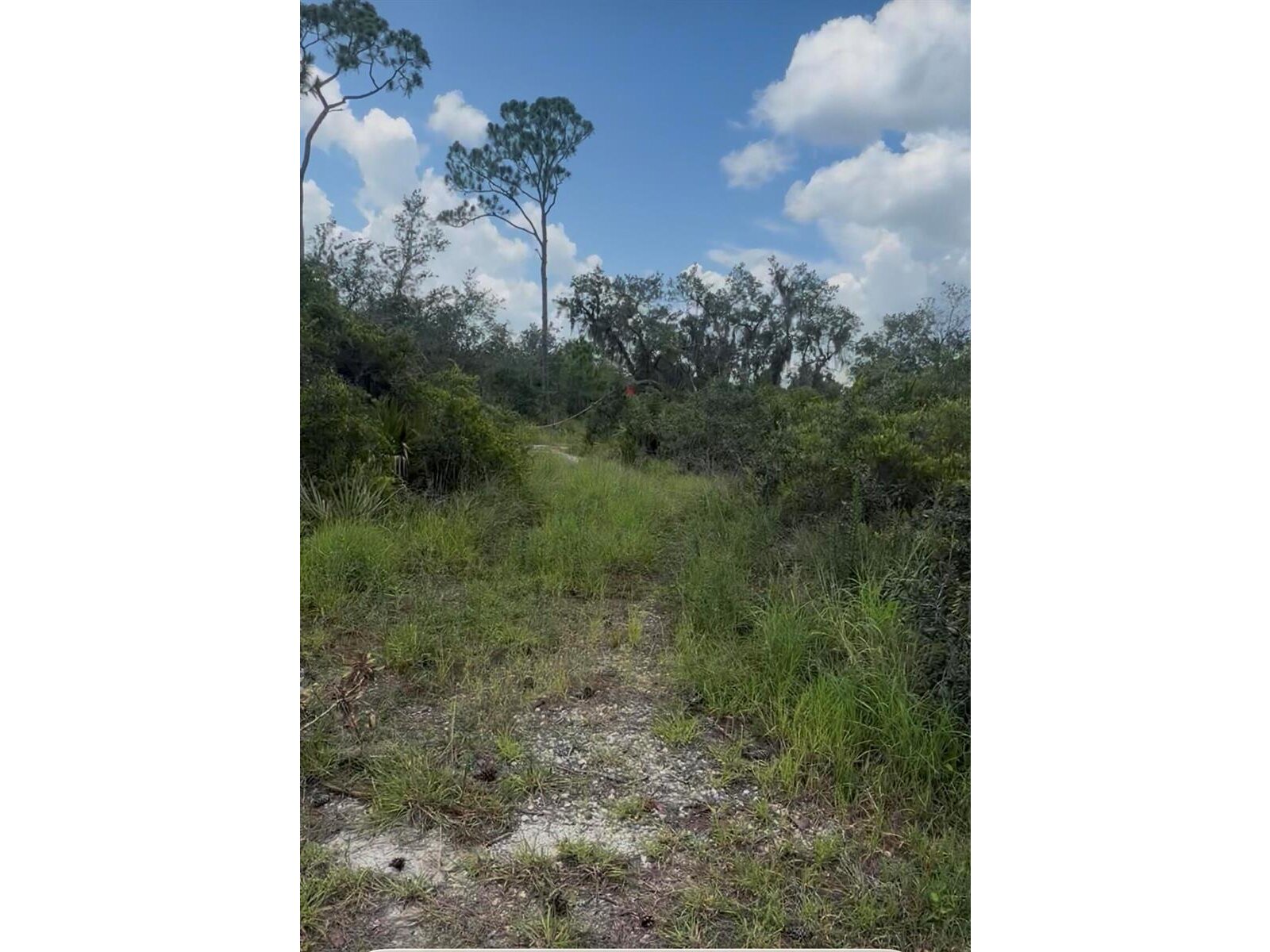 Image - 1