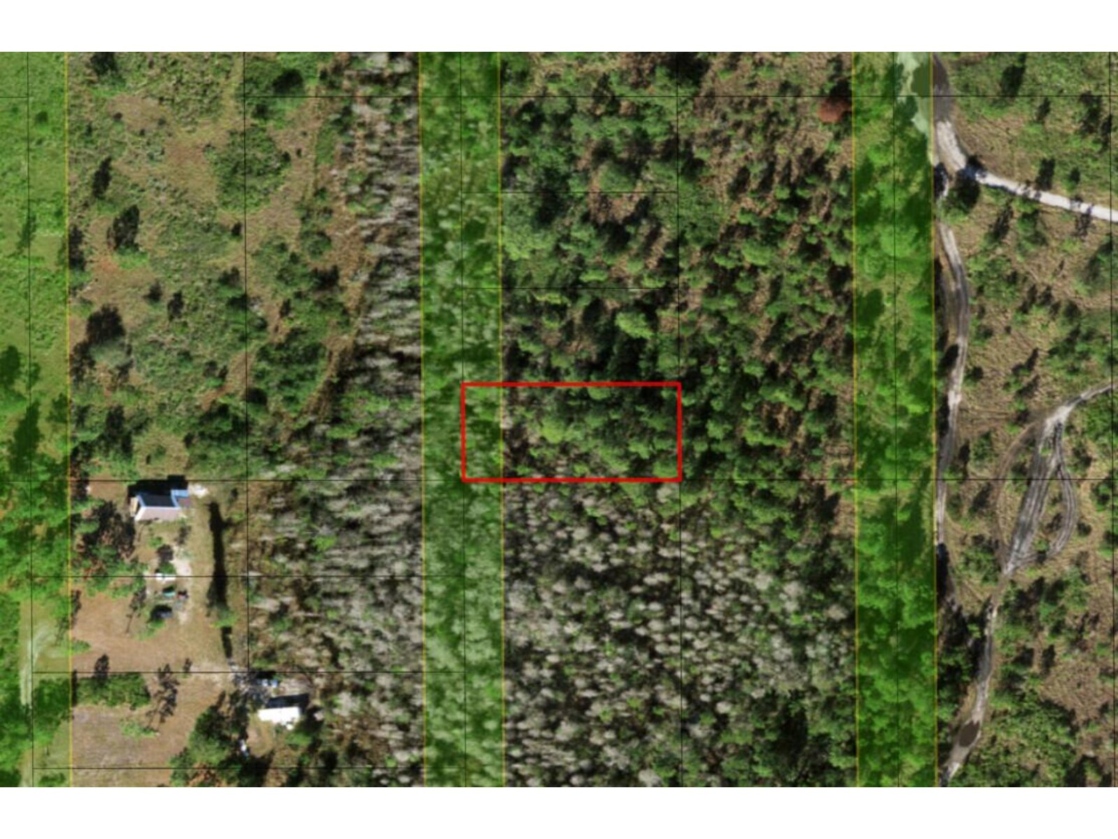 Image - 1