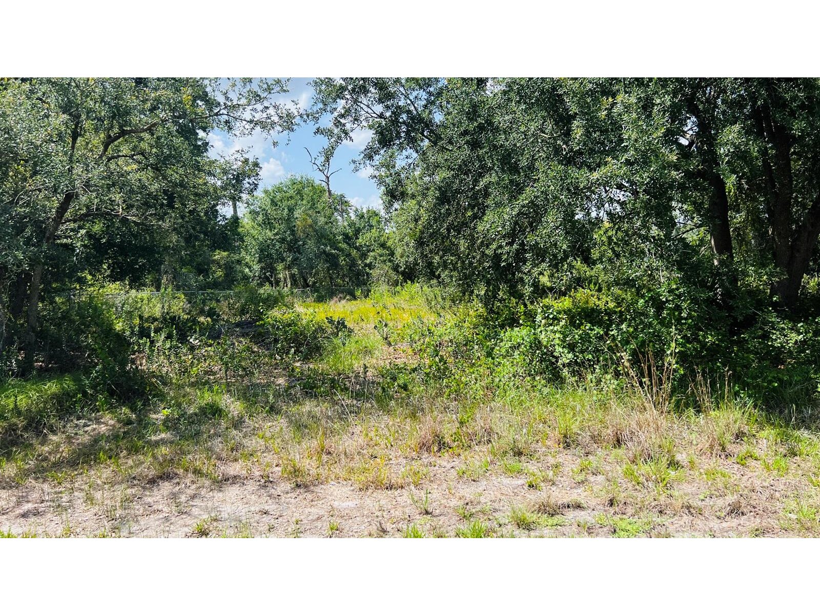 Image - 1