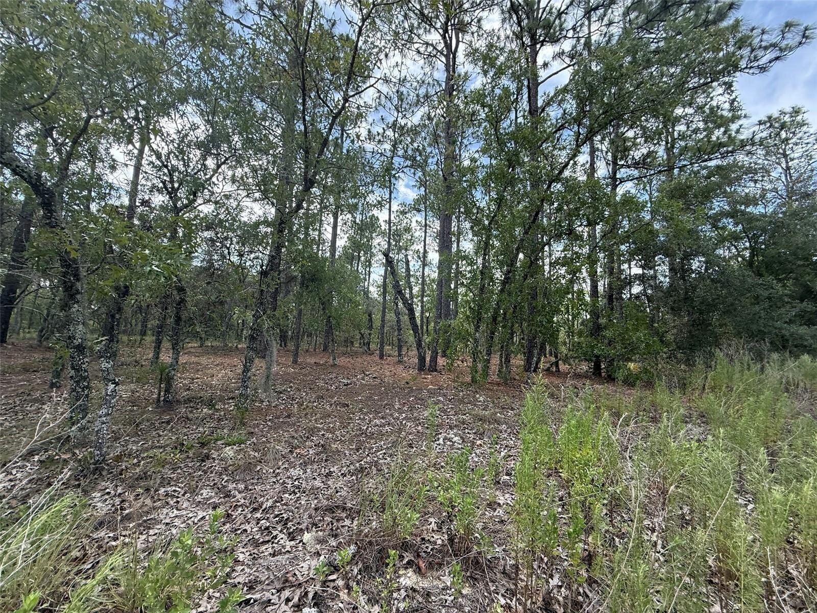 Image - 1