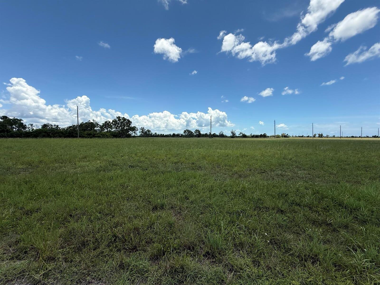 Image - 1
