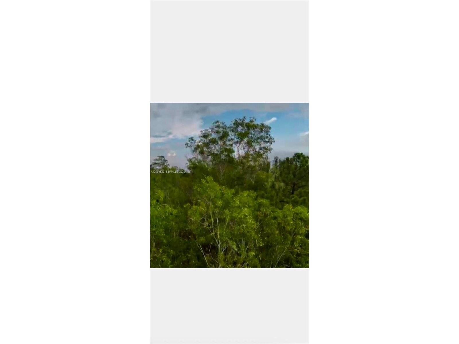 Image - 1