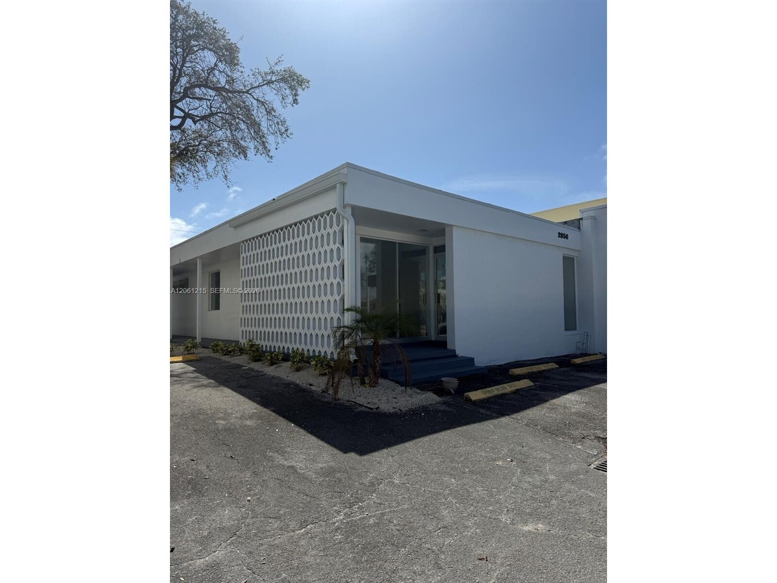 Image - 1