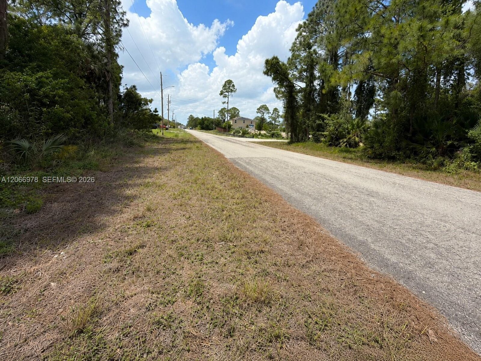 Image - 1