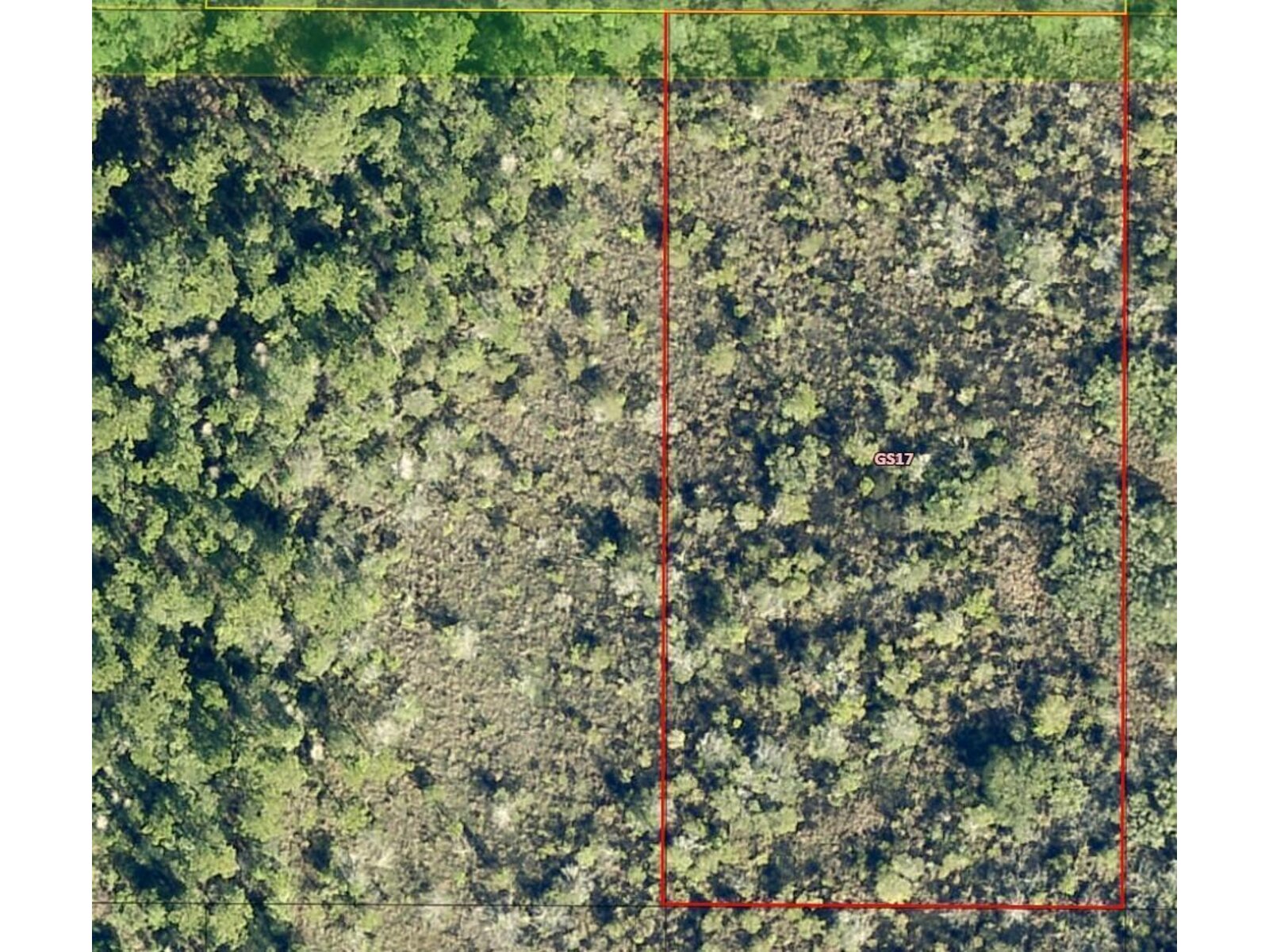 Image - 1