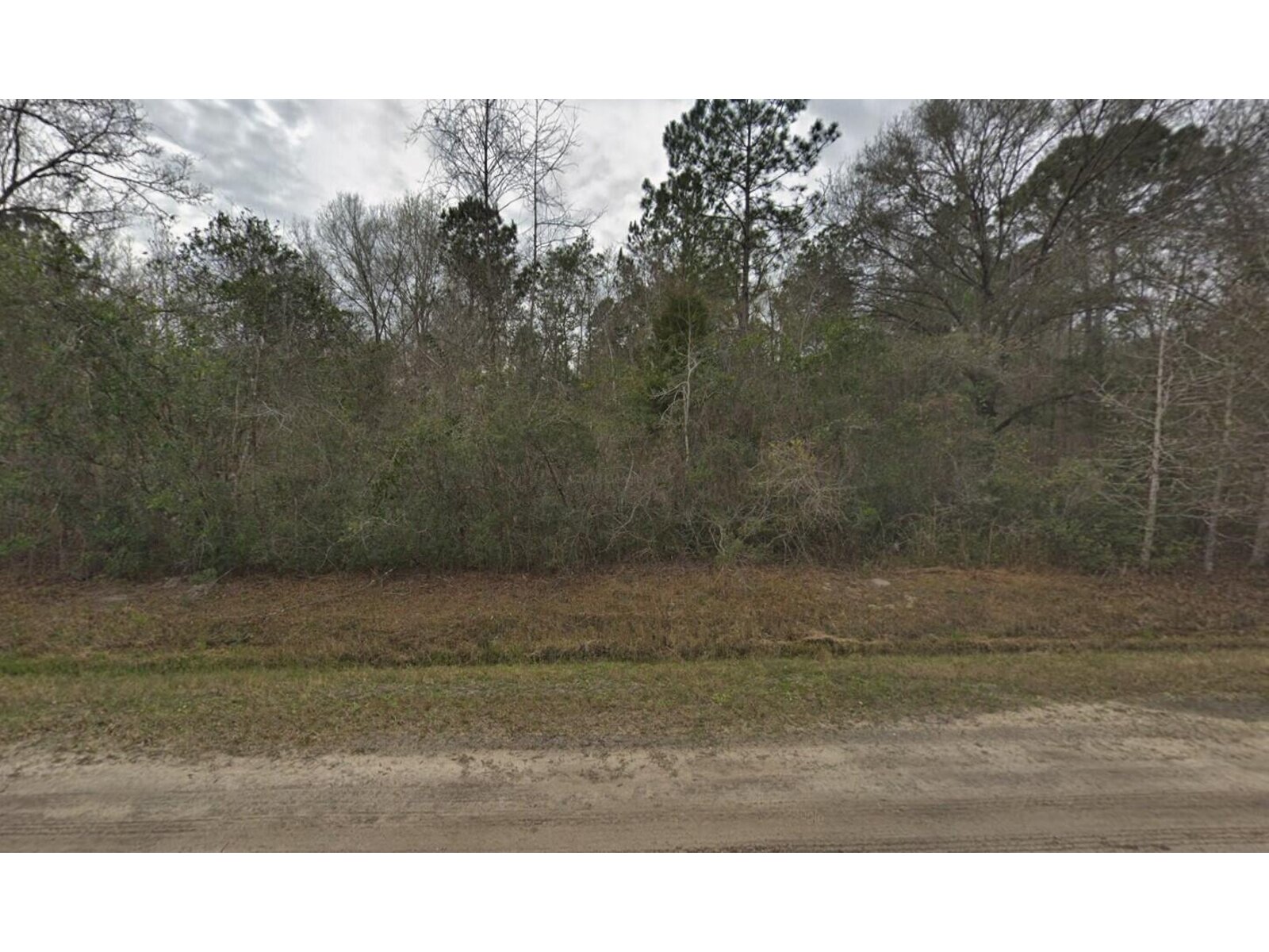 Image - 1