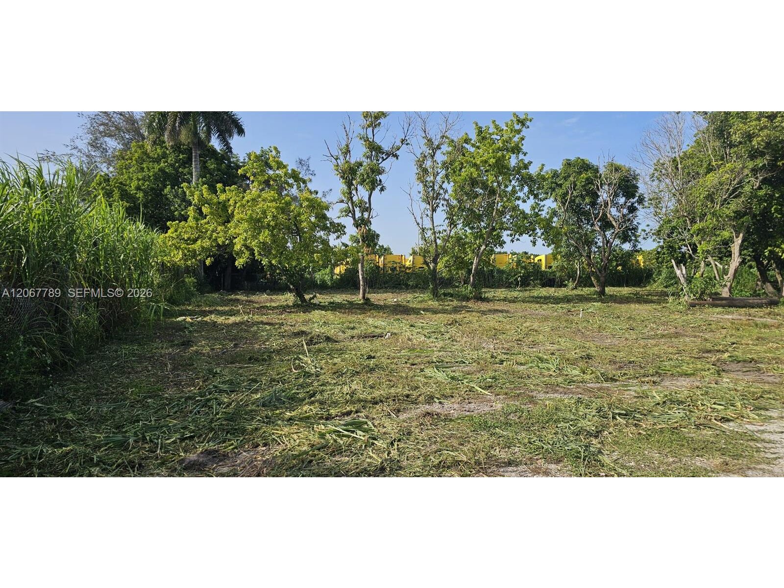 Image - 1