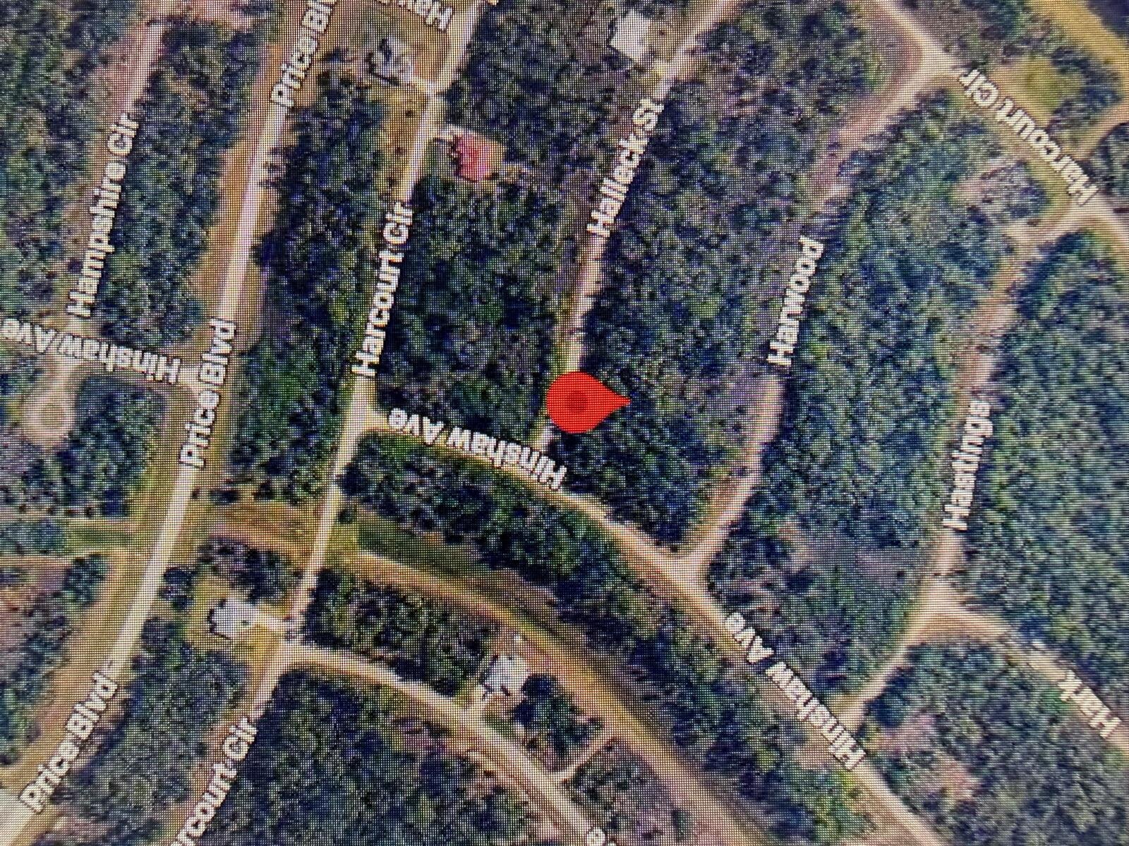 Image - 1