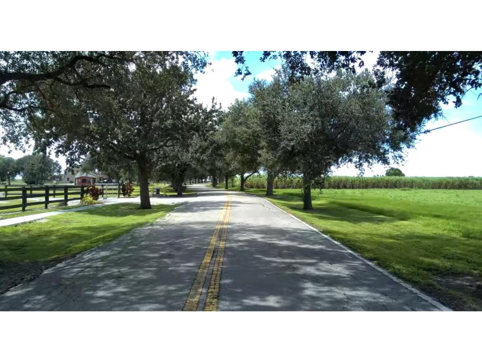 Image - 1
