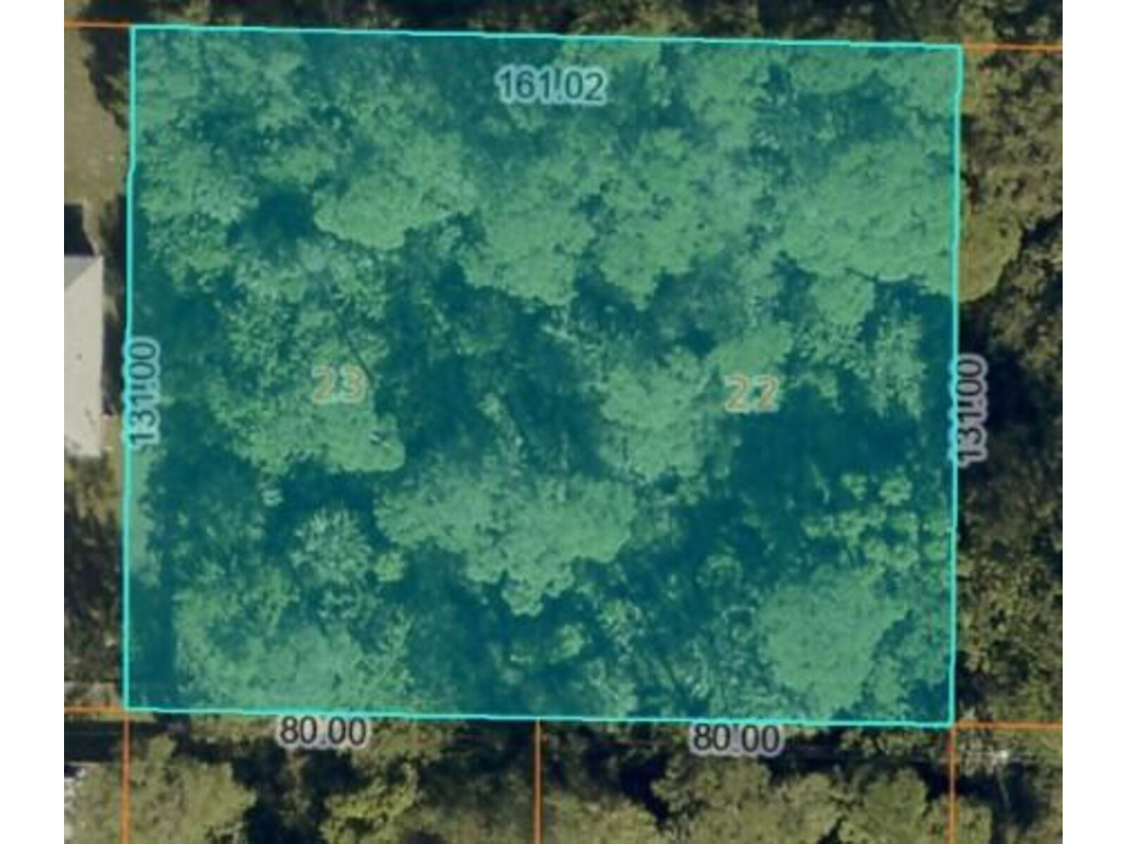 Image - 1