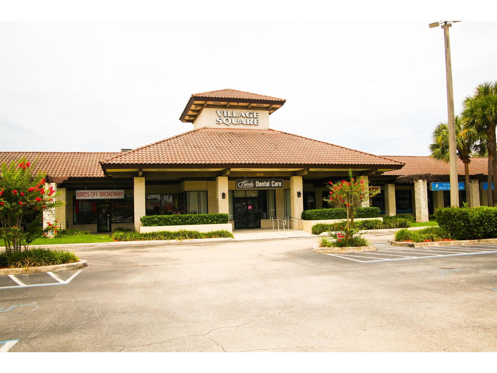 Image - 1