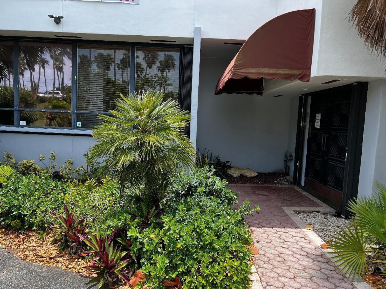 Image - 1