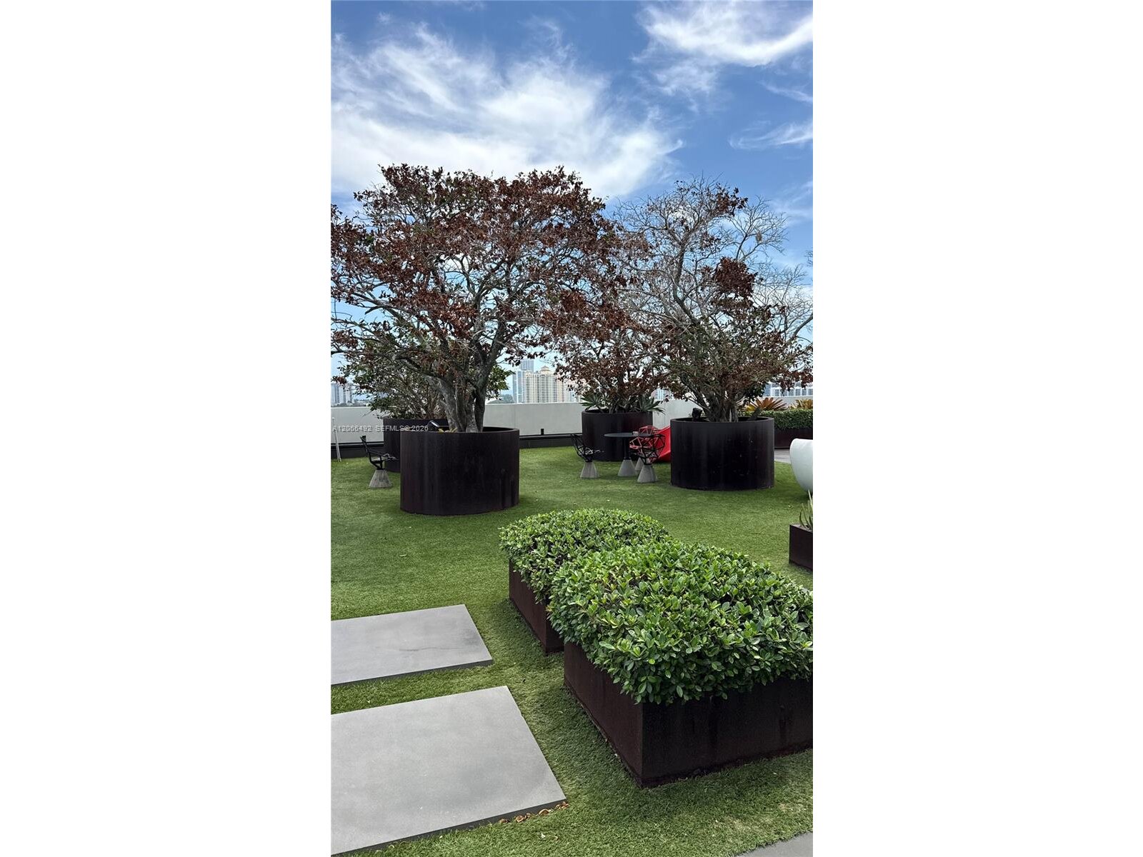 Image - 6